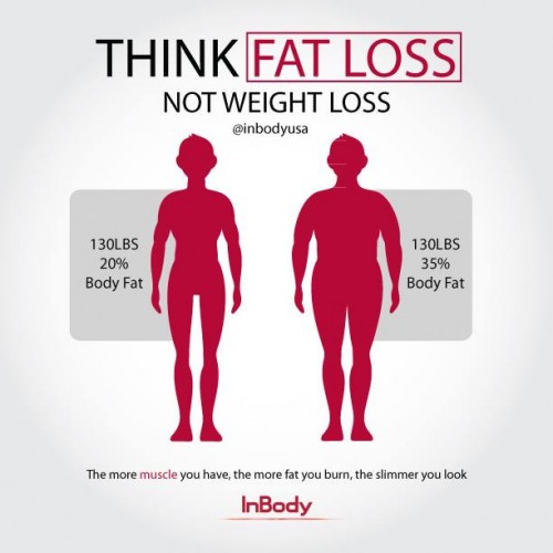 fat loss not weight loss